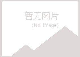 鹤岗东山慕青能源有限公司